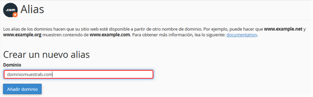 Escribe dominio